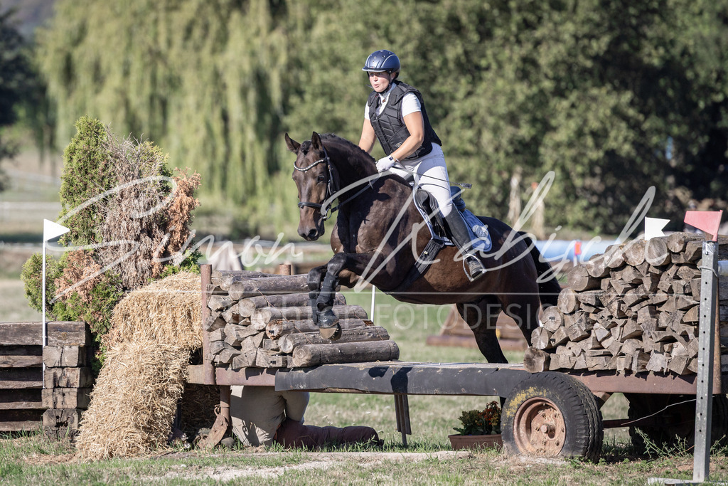 20260906-_3LI1884 | Tierfotografie Pferde, Hunde, Katzen, Haustiere.
Turnierfotografie Reitturniere, Reiten, Springreiten, Dressur in Hanau, dem Main-Kinzig-Kreis und dem Rhein-Main- Gebiet um Frankfurt