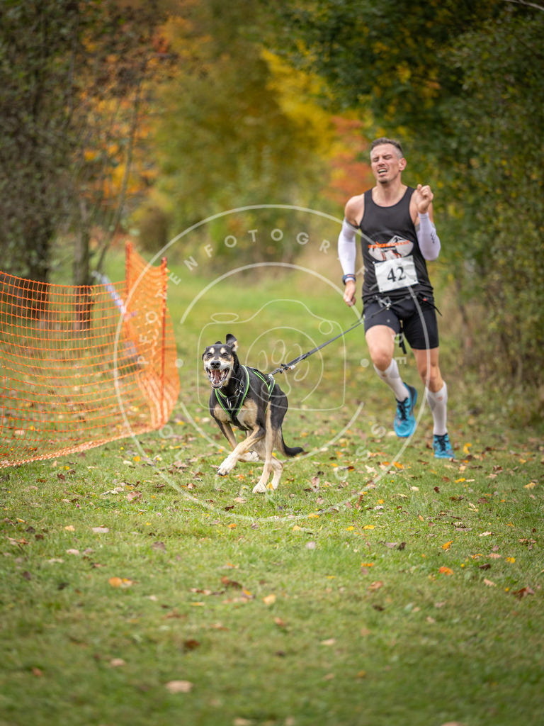 Pfotenfotografie_DV3A2321 | Hundefotografie, Tierfotograf, Pfotenfotografie, Fotoshooting Hund, Hunde Portrait, Hundesport, Hundeportraits, Heideshooting, Hunde, Sportfotograf, Hundefotograf, Turnierhundsport, THS,  - Realisiert mit Pictrs.com