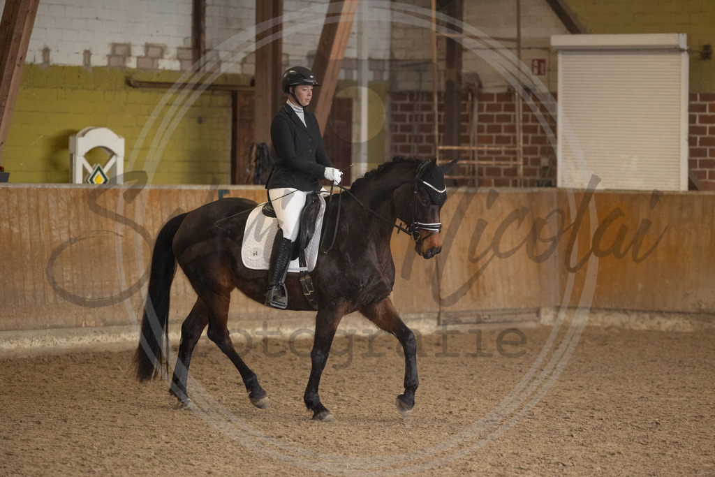 994A8985 | sabrinanicolaifotografie - Realisiert mit Pictrs.com