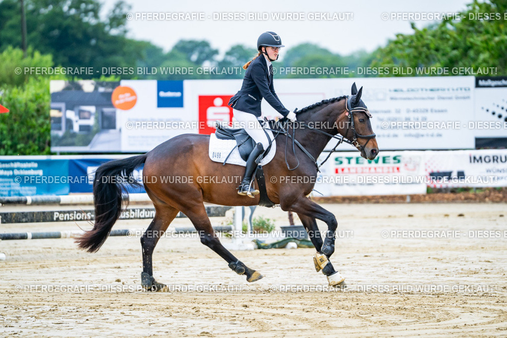 DSC01127 | Pferdegrafie