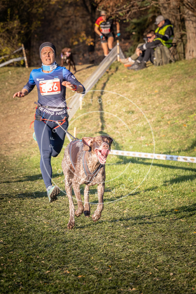 CaniXpix_0L8A0651 | Hundefotografie, Tierfotograf, Pfotenfotografie, Fotoshooting Hund, Hunde Portrait, Hundesport, Hundeportraits, Heideshooting, Hunde, Sportfotograf, Hundefotograf, Turnierhundsport, THS,  - Realisiert mit Pictrs.com