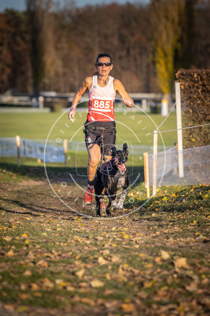 CaniXpix_DV3A4436 | Hundefotografie, Tierfotograf, Pfotenfotografie, Fotoshooting Hund, Hunde Portrait, Hundesport, Hundeportraits, Heideshooting, Hunde, Sportfotograf, Hundefotograf, Turnierhundsport, THS,  - Realisiert mit Pictrs.com