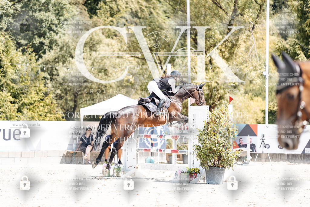 CK900423 | Turnierfotografie Pferdefotografie Trier Rheinland-Pfalz Pferdesport Reitsport Tierfotografie Sportfotografie Pferdevideo Pferdevideografie Equestrianvideography equestrianphotography  - Realisiert mit Pictrs.com