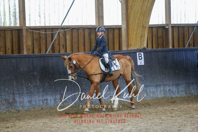 IMG_1479 | Turniersportfotografie; Pferdefotografie; Dressurfotografie