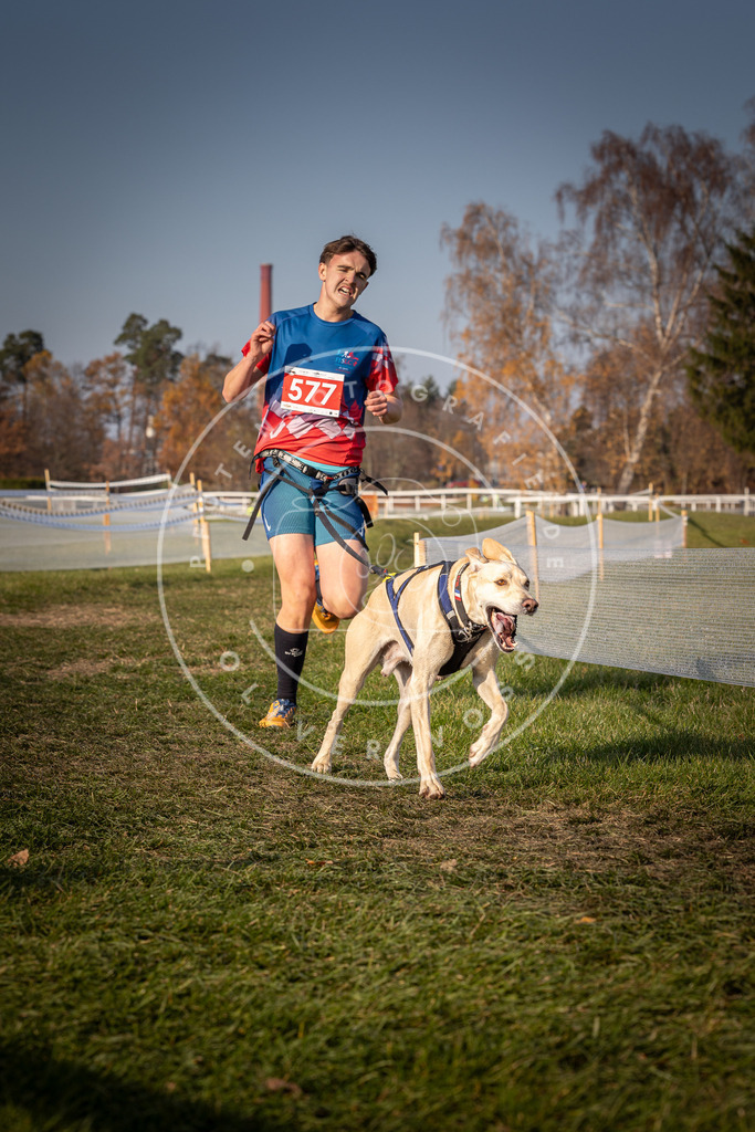 CaniXpix_0L8A9520 | Hundefotografie, Tierfotograf, Pfotenfotografie, Fotoshooting Hund, Hunde Portrait, Hundesport, Hundeportraits, Heideshooting, Hunde, Sportfotograf, Hundefotograf, Turnierhundsport, THS,  - Realisiert mit Pictrs.com