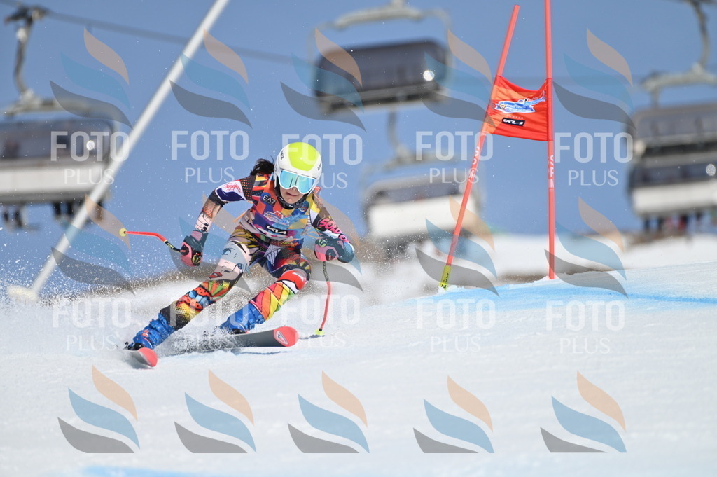 BGV_9524 | holidayphoto