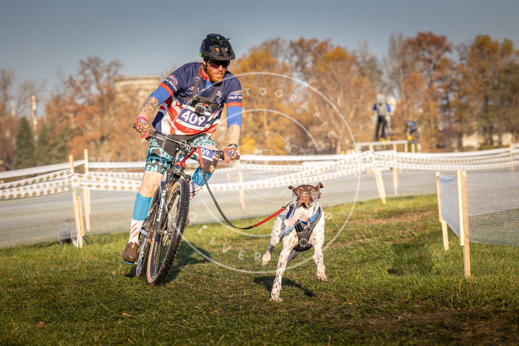 CaniXpix_0L8A4047 | Hundefotografie, Tierfotograf, Pfotenfotografie, Fotoshooting Hund, Hunde Portrait, Hundesport, Hundeportraits, Heideshooting, Hunde, Sportfotograf, Hundefotograf, Turnierhundsport, THS,  - Realisiert mit Pictrs.com