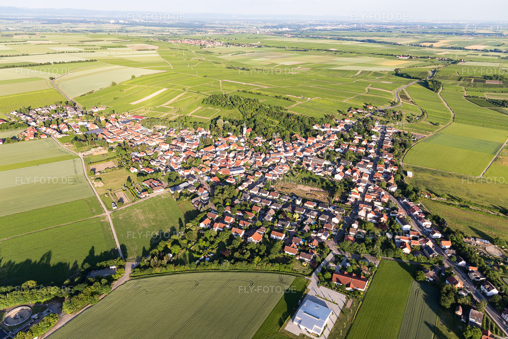 Luftbild: Landwirtschaftliche Nutzflächen und Feldgrenzen umsäumen das Siedlungsgebiet des Dorfes im Ortsteil Heßloch in Dittelsheim-Heßloch im Bundesland Rheinland-Pfalz in Deutschland. Foto: IMG_107653.jpg vom 03.06.2018 durch Werner Riehm/FLY-FOTO.de