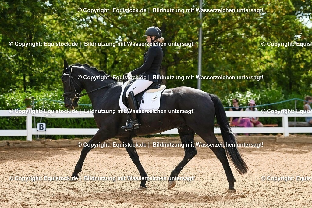 20230715_07_Dressurpferdeprfg. Kl.L_0156 | equistock