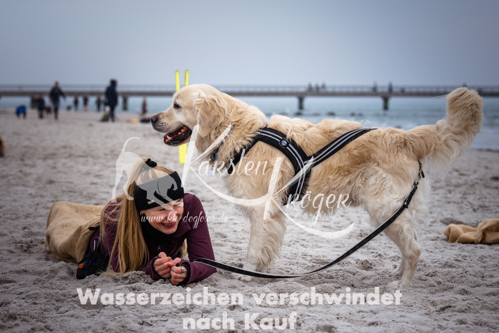 1227_ZZ94300 | kk-dogfotos