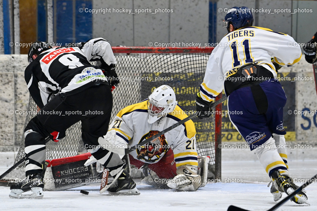 EC Tigers Paternion vs. Tarco Wölfe II | #8 Konrad Simon Tarco Wölfe II, #21 Lesacher Jürgen EC Tigers Paternion, #11 Ott Marcel EC Tigers Paternion, EC Tigers Paternion vs. Tarco Wölfe II, EC Tigers Paternion vs. Tarco Wölfe II am 19.12.2024 in Spittal an der Drau (Eissportzentrum Spittal), Austria, (Photo by Bernd Stefan)
