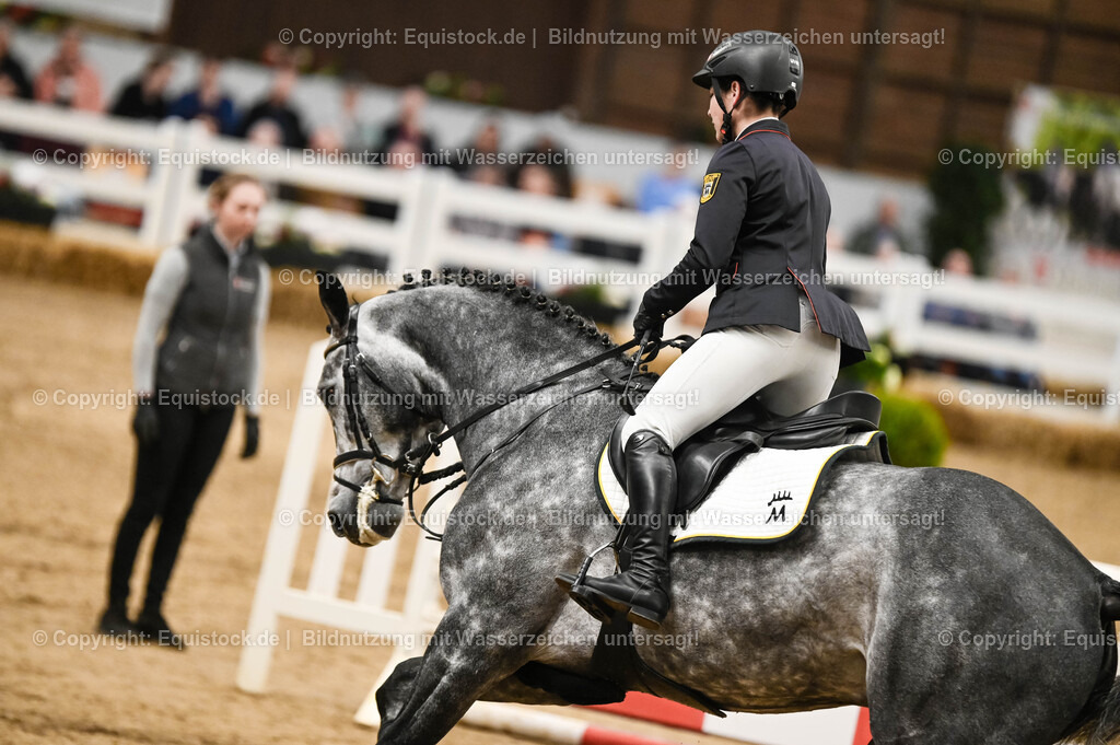 20260307_Hengstvorstellung-Marbach_0106 | equistock