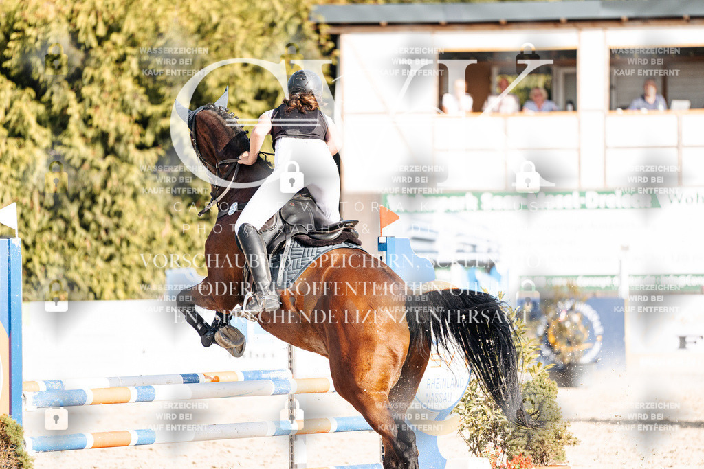 CK909538 | Turnierfotografie Pferdefotografie Trier Rheinland-Pfalz Pferdesport Reitsport Tierfotografie Sportfotografie Pferdevideo Pferdevideografie Equestrianvideography equestrianphotography  - Realisiert mit Pictrs.com