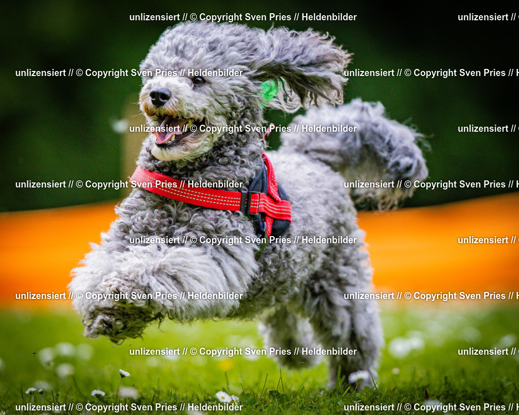 Sven Pries | 2025-05-29 - Pudelrennen KA-Durlach - Realisiert mit Pictrs.com