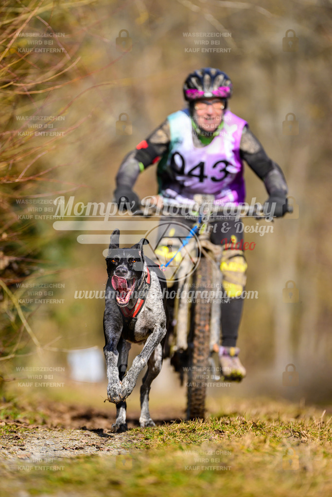 MompixPhotography_Schwabentrail2025_SO_Bike-63 | PayLife