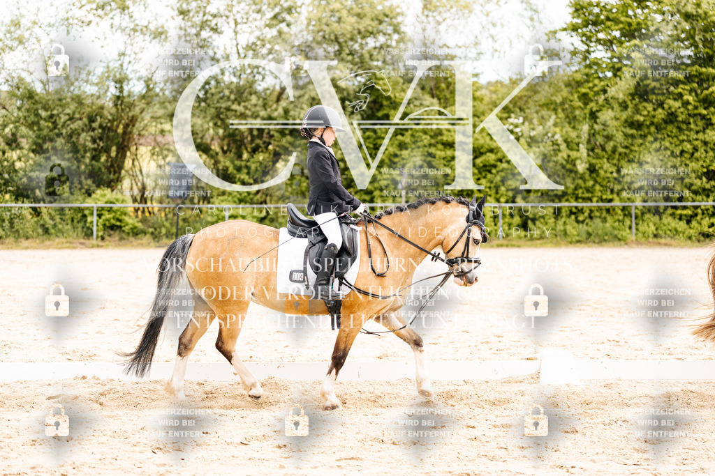 CK904472 | Turnierfotografie Pferdefotografie Trier Rheinland-Pfalz Pferdesport Reitsport Tierfotografie Sportfotografie Pferdevideo Pferdevideografie Equestrianvideography equestrianphotography  - Realisiert mit Pictrs.com