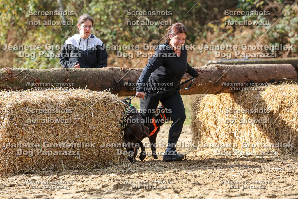 Dog Paparazzi - Strongdog 10-25-5045 | Dog Paparazzi Jeanette Grottendiek Fotografie & Videografie - Realisiert mit Pictrs.com