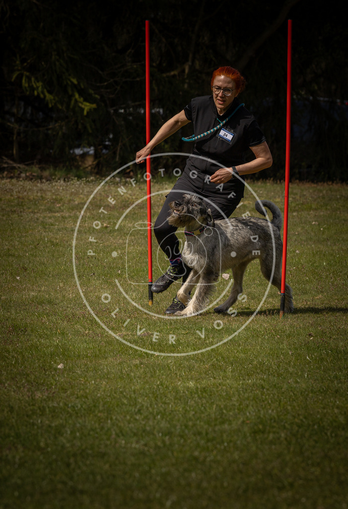 Pfotenfotografie_DV3A4510 | Hundefotografie, Tierfotograf, Pfotenfotografie, Fotoshooting Hund, Hunde Portrait, Hundesport, Hundeportraits, Heideshooting, Hunde, Sportfotograf, Hundefotograf, Turnierhundsport, THS,  - Realisiert mit Pictrs.com