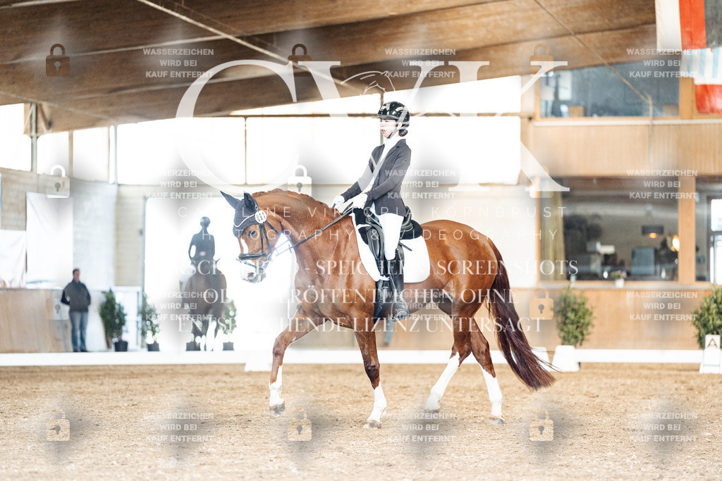 CK901266 | Turnierfotografie Pferdefotografie Trier Rheinland-Pfalz Pferdesport Reitsport Tierfotografie Sportfotografie Pferdevideo Pferdevideografie Equestrianvideography equestrianphotography  - Realized with Pictrs.com