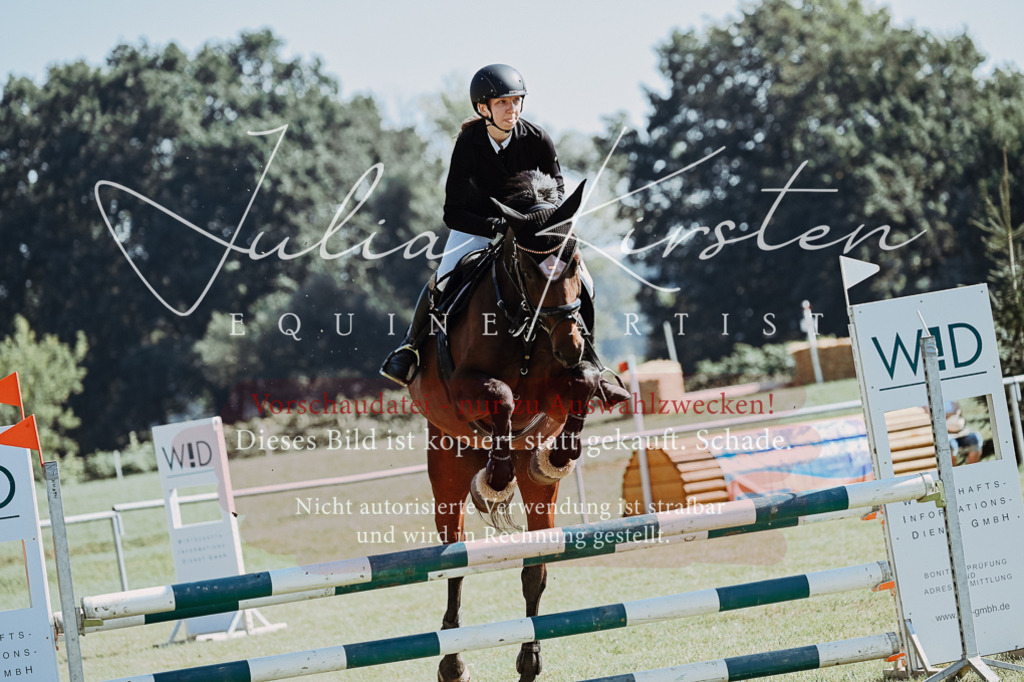 DSC_5626 | Pferde- und Turnierfotografie in Westsachsen. Pferdeportraits, Auftragszeichnungen und intuitive Kunst.