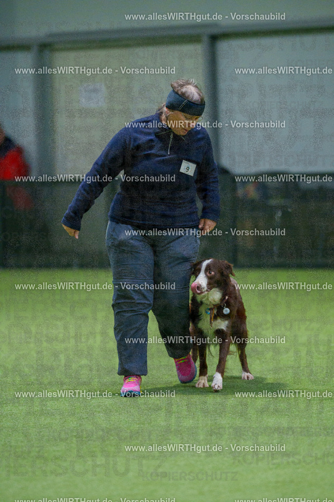 7R500071 | Professionelle Tierfotografie in Mönchengladbach von Daniel Wirth (allesWIRTHgut). Liebevolle & natürliche Bilder von Hunden & Katzen für unvergessliche Erinnerungen.