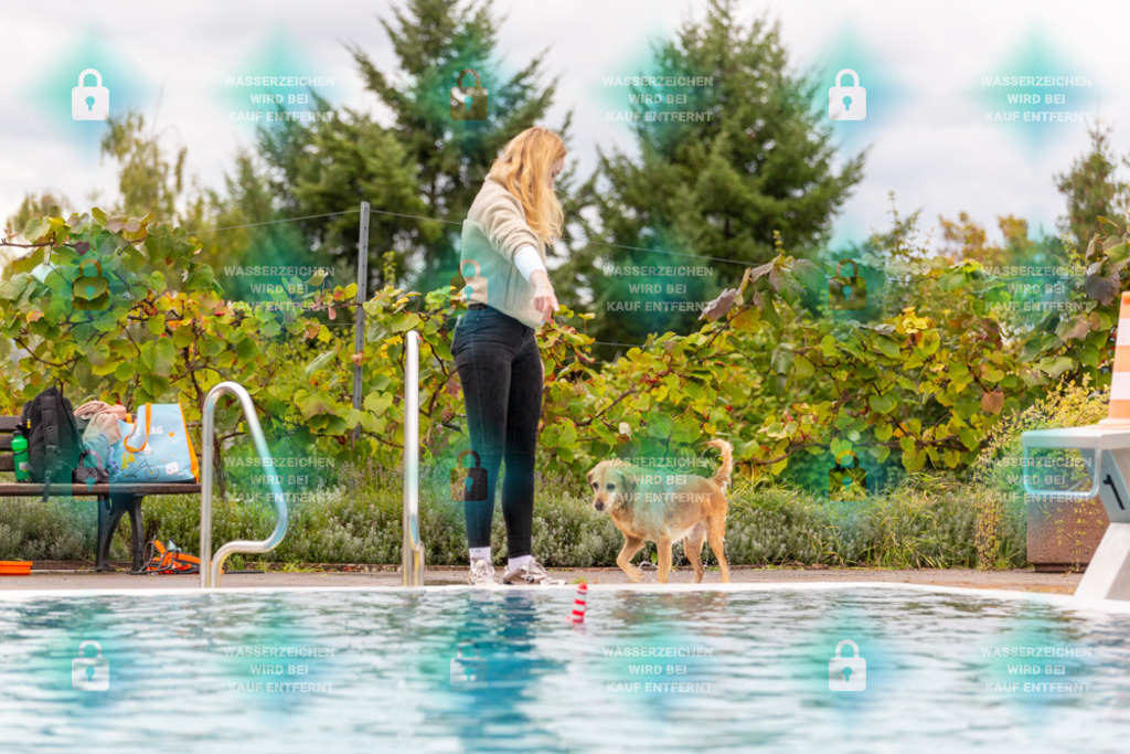 _HP_6106_1000o | HetPix, HetPix Fotodesign, Fotografie, Fotodesign, Webshop, Sportfotografie, Portraitfotografie, Onlineshop, Sportfotografie, Polch, Motorsportfotografie, Eventfotografie