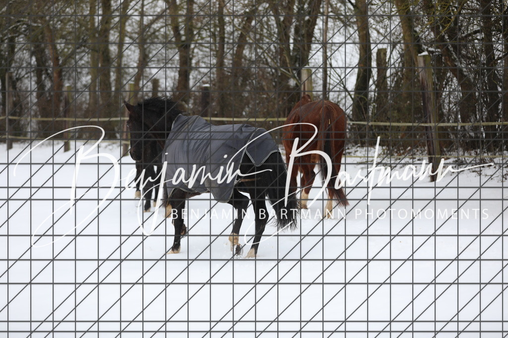 AZ2A3273 | Benjamin Bartmann Photomoments