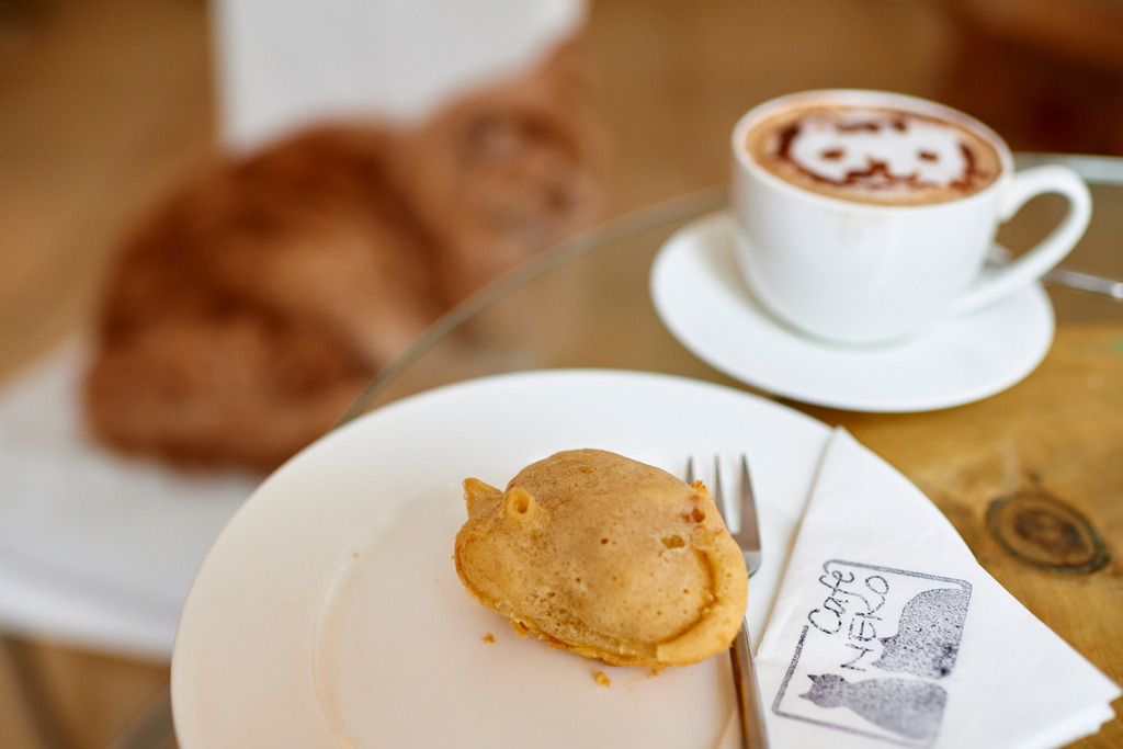 Cafe Neko | Wien, Austria - October 05, 2017: Cafe Neko-Katzencafe, Melange und kleine Süßspeise auf dem Teller, im Hintergrund eine rothaarige Katze. - Realisiert mit Pictrs.com