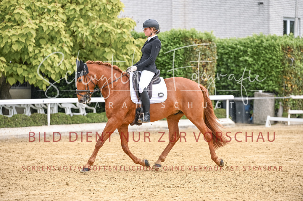 Schugtsche-Aluta25-41.Amat-Dressurprf.A_-467 | Schugtsche Fotografie - Realisiert mit Pictrs.com