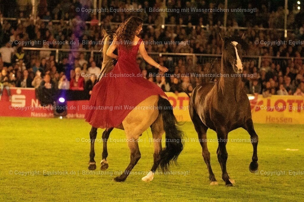 20230526_Pferdenacht_1420 | equistock