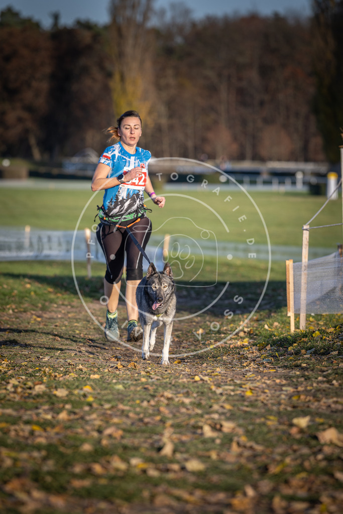 CaniXpix_DV3A3708 | Hundefotografie, Tierfotograf, Pfotenfotografie, Fotoshooting Hund, Hunde Portrait, Hundesport, Hundeportraits, Heideshooting, Hunde, Sportfotograf, Hundefotograf, Turnierhundsport, THS,  - Realisiert mit Pictrs.com