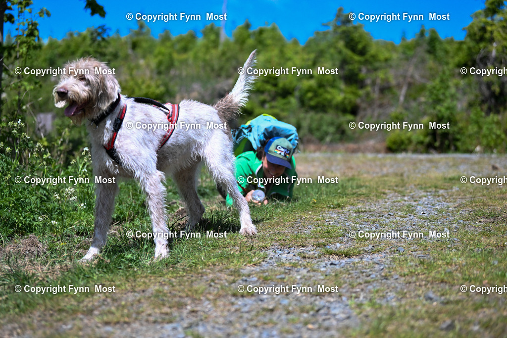DSC_4279 | Hallo und herzlich Willkommen auf meiner Shop-Seite Fynn Most.

Ich wünsche Dir viel Spaß beim stöbern durch die Bilder, wenn Du Fragen hast oder Bilder vermisst, kannst du mir gerne eine Nachricht schreiben. - Realisiert mit Pictrs.com