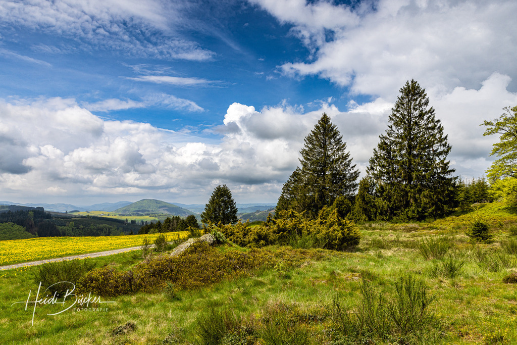 Westfeld und Umgebung 059 | Bilder und Impressionen zu jeder Jahreszeit aus dem Sauerland im Naturpark Sauerland-Rothaargebirge - Realisiert mit Pictrs.com