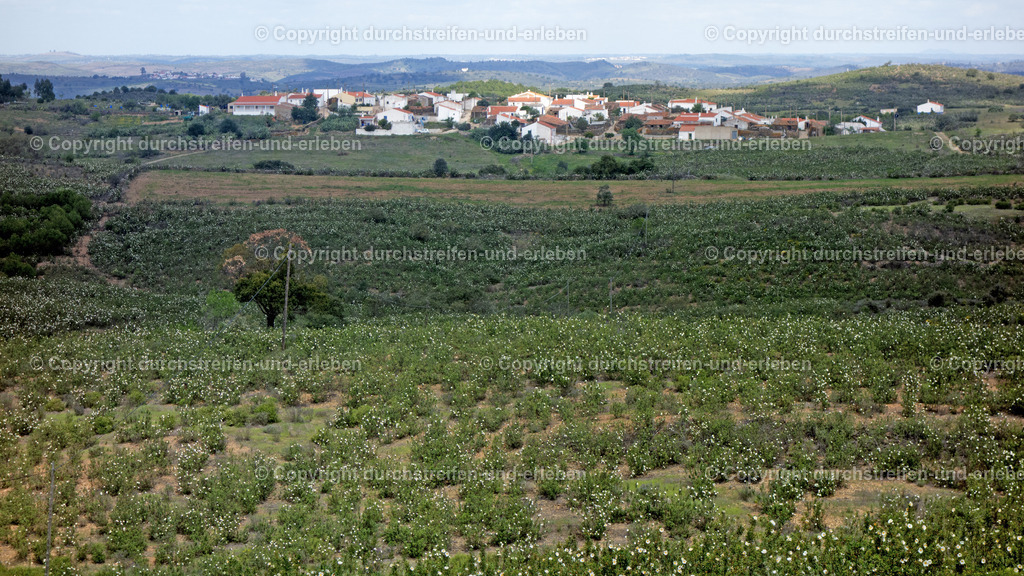Landschaft ums Dorf Afonso Vicente, Serra do Algarve | Landschaft ums Dorf Afonso Vicente, Algarve - Realisiert mit Pictrs.com