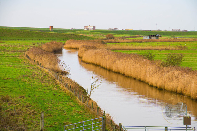 _DSC8985 | Shop für Prints Landschaftsfotografie Sächsische Schweiz Naturfotografie in Thüringen Fotos vom Findlingspark Nochten Kloster Sankt Marienstern Bilder Festung Königstein PanoramaRhododendronpark Kromlau FotogalerSchleswig-Holstein Küstenlandschaften