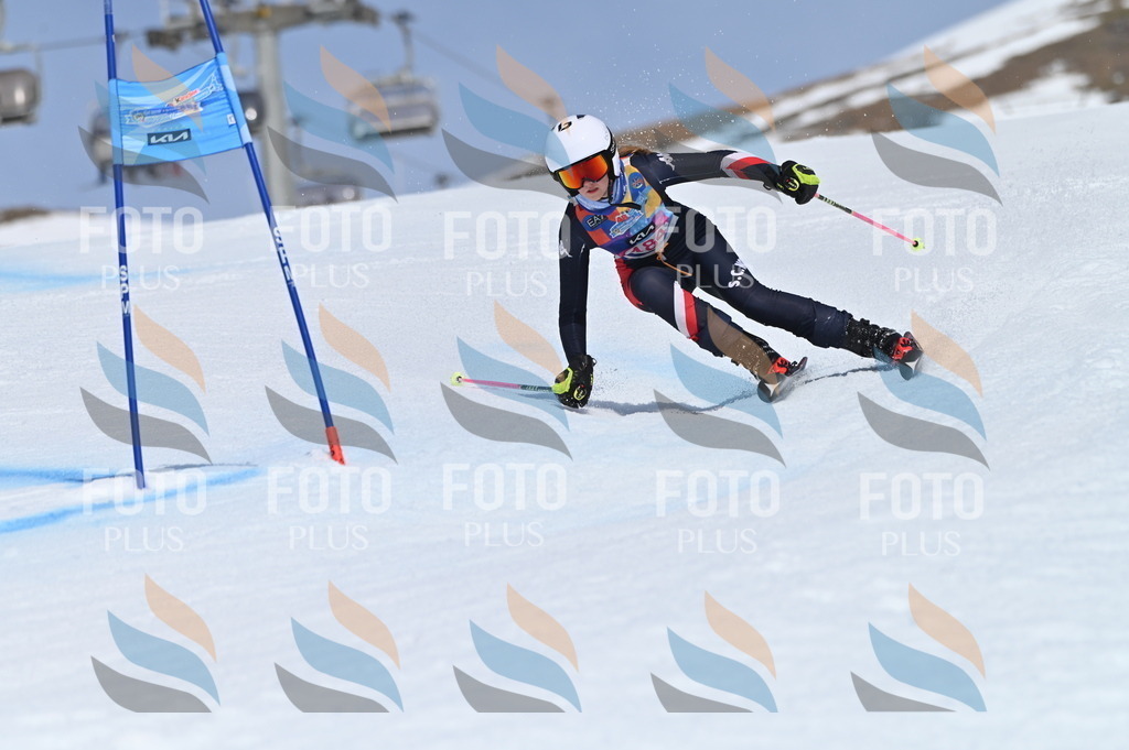 BGV_0690 | holidayphoto