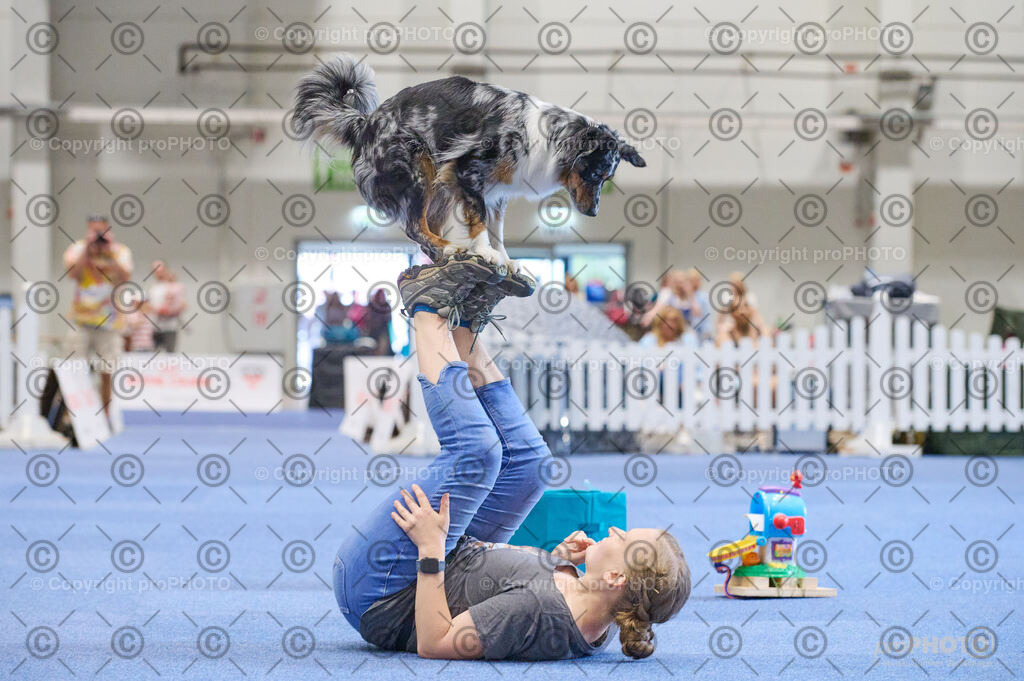 202406_ÖKV-IHA-Tulln24_DSC_4555 | proPHOTO - Realisiert mit Pictrs.com