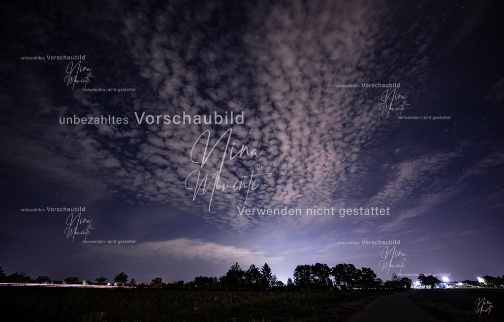 _16A7248-1 | Einzigartige Fotos von Hunden & Menschen –Actionfotos, Portraits, Vereinsaufnahmen & Paarshootings – authentisch, lebendig & mit Herz.