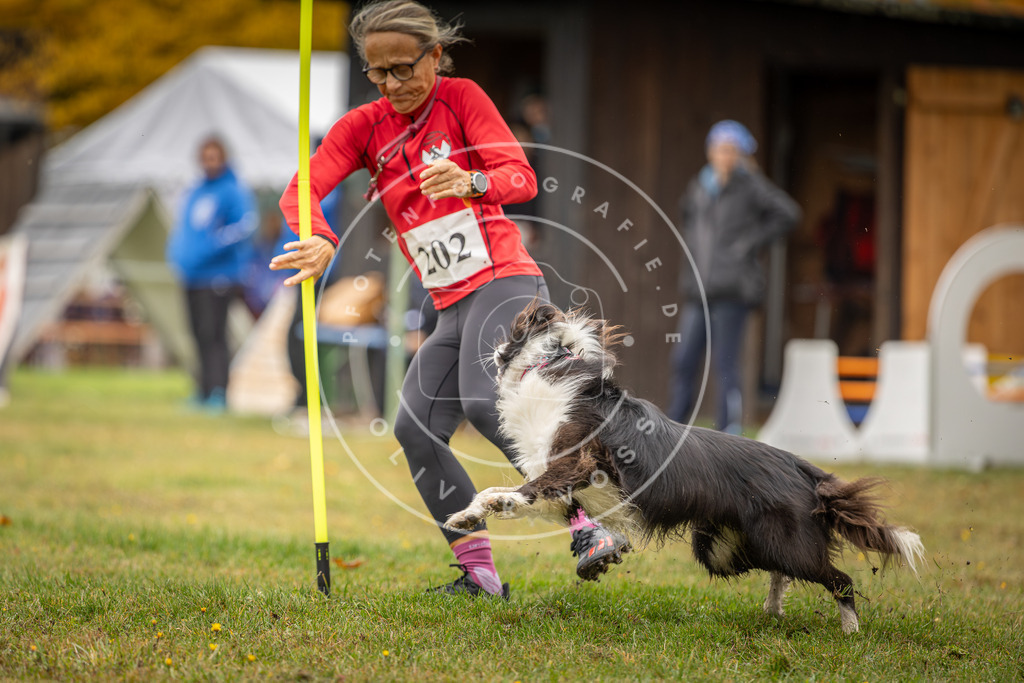 Pfotenfotografie_DV3A1633 | Hundefotografie, Tierfotograf, Pfotenfotografie, Fotoshooting Hund, Hunde Portrait, Hundesport, Hundeportraits, Heideshooting, Hunde, Sportfotograf, Hundefotograf, Turnierhundsport, THS,  - Realisiert mit Pictrs.com
