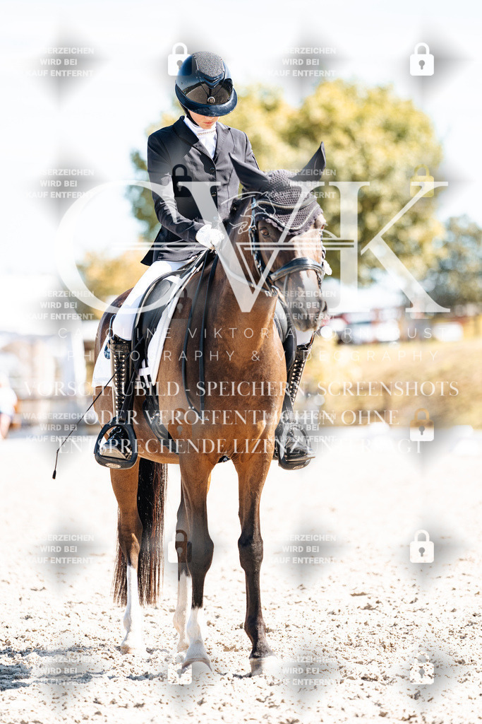 CK909686 | Turnierfotografie Pferdefotografie Trier Rheinland-Pfalz Pferdesport Reitsport Tierfotografie Sportfotografie Pferdevideo Pferdevideografie Equestrianvideography equestrianphotography  - Realisiert mit Pictrs.com
