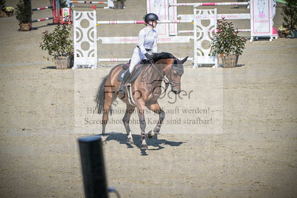 DOS_0625 | Entdecke hochwertige Reitturnierfotos von Foto Oger. Professionell, emotional und authentisch – jetzt Lieblingsmomente im Shop bestellen.Deutschlandweite Turnierfotografie. - Realisiert mit Pictrs.com