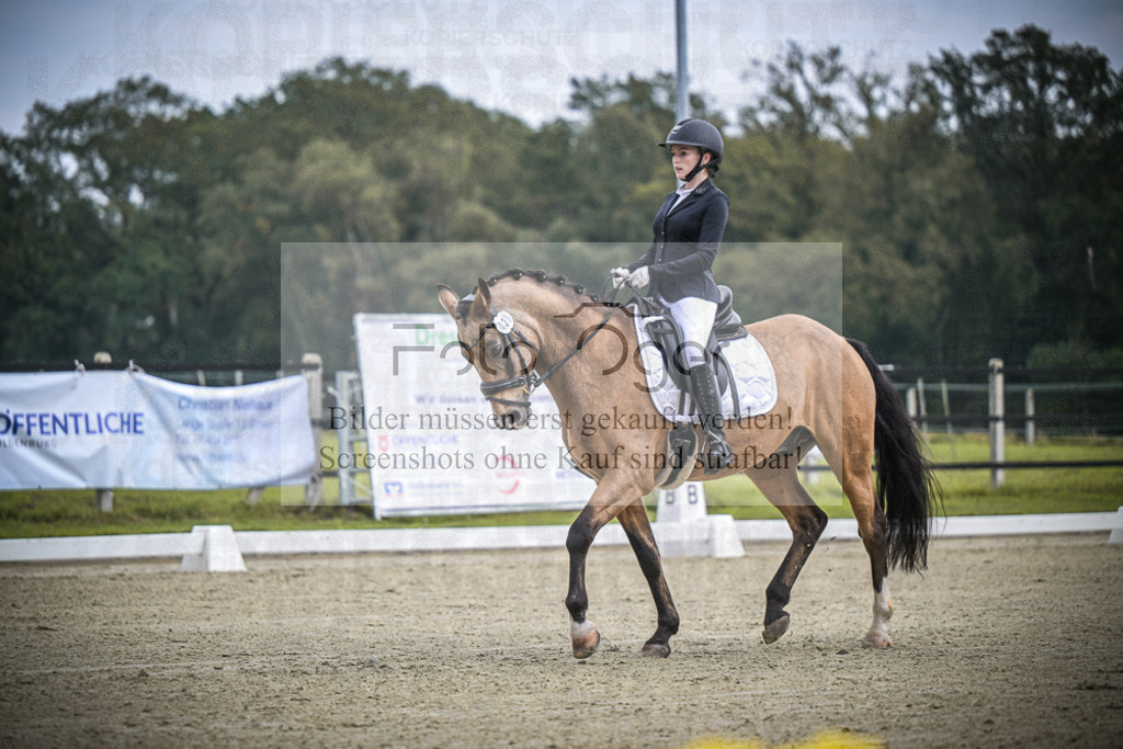 DOS_B402 | Entdecke hochwertige Reitturnierfotos von Foto Oger. Professionell, emotional und authentisch – jetzt Lieblingsmomente im Shop bestellen.Deutschlandweite Turnierfotografie. - Realisiert mit Pictrs.com