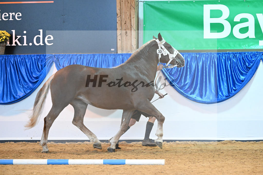 Kat-Nr. 55 Ella_Maier_53220114 | hf-fotografie - Realisiert mit Pictrs.com
