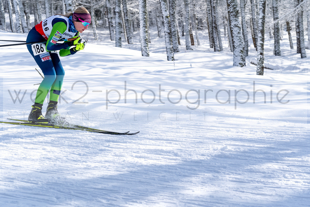 DSC Altenberg | Deutscher Schülercup in Altenberg vom 11. bis zum 13. Februar 2022