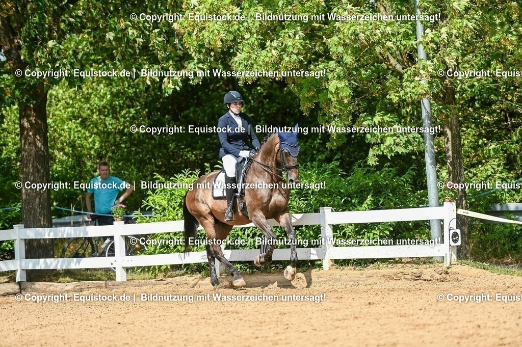 20230716_01_Dressurprüfung Kl.M_0299 | equistock