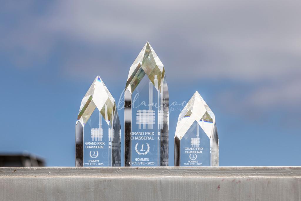 _01A6088 | Sportbilder, Sportfotograf, Hochzeits- und Eventfotografin, Flugshows, Portraits und Tiershooting, Aviation, Downhill, Nationalleague, Swissleague, International