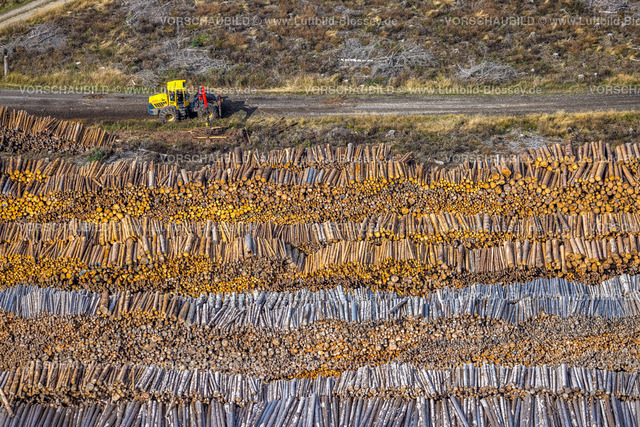 Bestwig220902076 | Luftbild, Waldschäden, Waldsterben, Holzstapel, Baumstämme, Formen und Farben, Ostwig, Bestwig, Ruhrgebiet, Nordrhein-Westfalen, Deutschland
