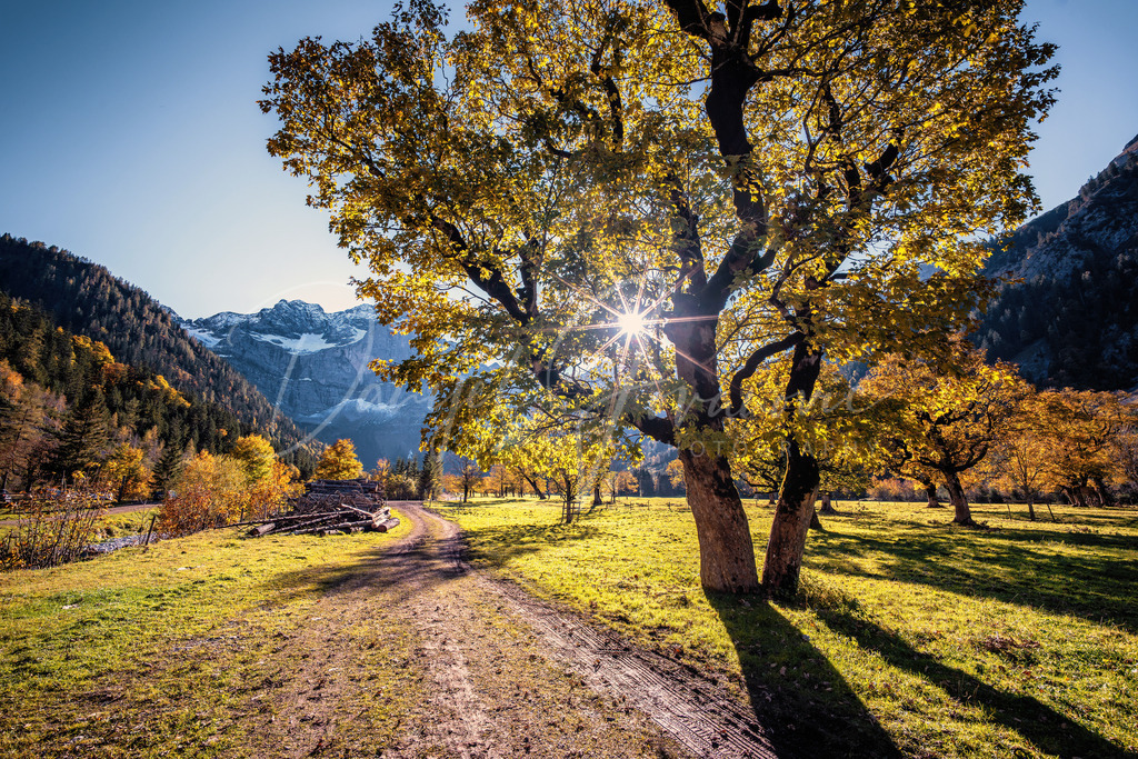 Großer Ahornboden | Herbst am Großen Ahornboden