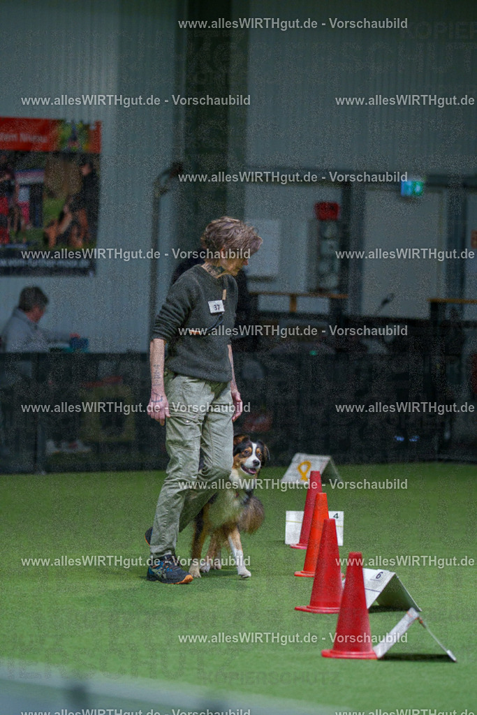 7R506076 | Professionelle Tierfotografie in Mönchengladbach von Daniel Wirth (allesWIRTHgut). Liebevolle & natürliche Bilder von Hunden & Katzen für unvergessliche Erinnerungen.