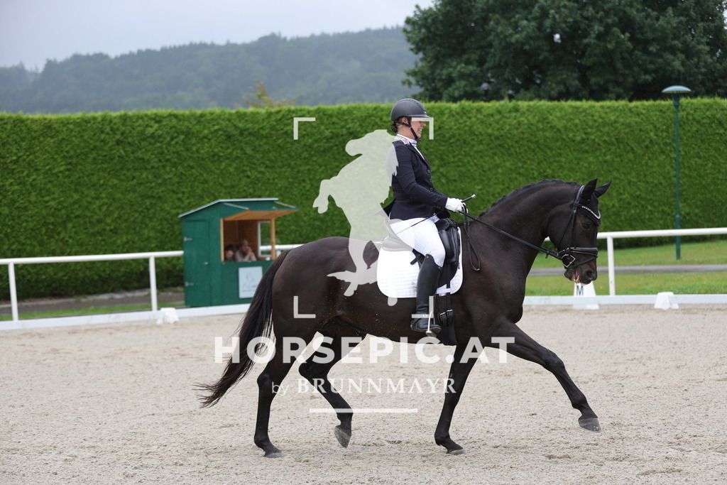 0P6A9949 | Willkommen bei Brunnmayr - Design & Fotografie – Ihrem Spezialisten für Reitturniere und Pferdeveranstaltungen in Oberösterreich, Salzburg und Bayern! Seit über 17 Jahren sind wir leidenschaftlich dabei.